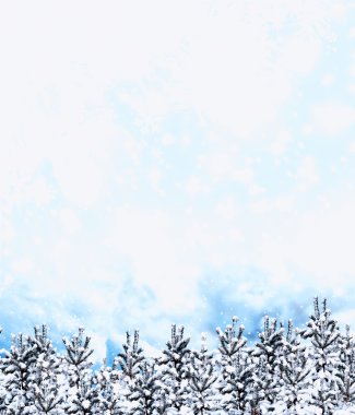 Kış orman. Kış manzarası. Ağaçlar kar kaplı