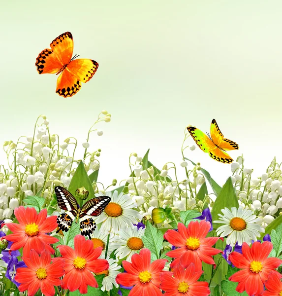 Letní krajina s květy. — Stock fotografie