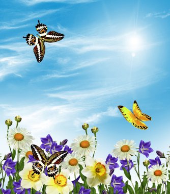 Yaz manzara. çan çiçeği