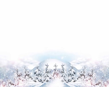 Kış orman. Kış manzarası. Ağaçlar kar kaplı