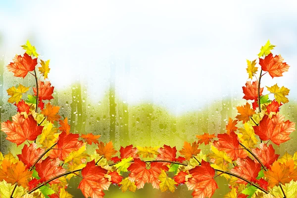 Sonbahar manzara. Güzel sonbahar yaprakları. Altın sonbahar. — Stok fotoğraf