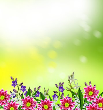 çiçek çiçekler bluebells arkaplanını