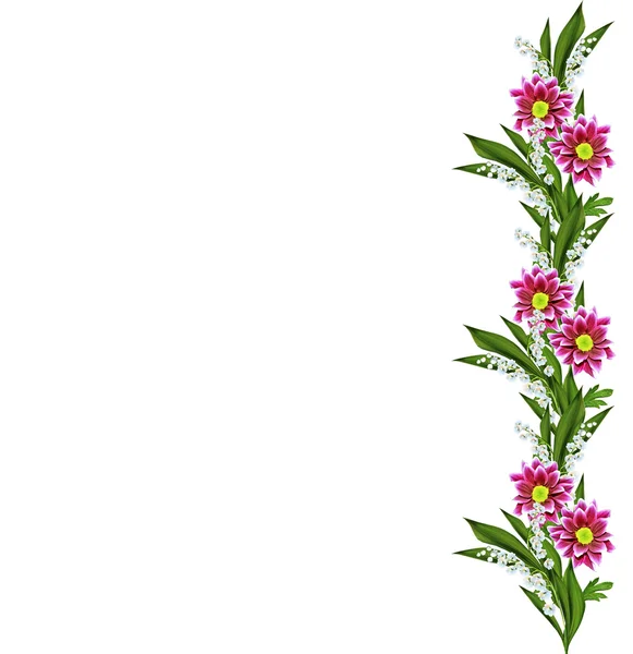 Otoño hermosas flores de crisantemo de colores aislados en whit — Foto de Stock