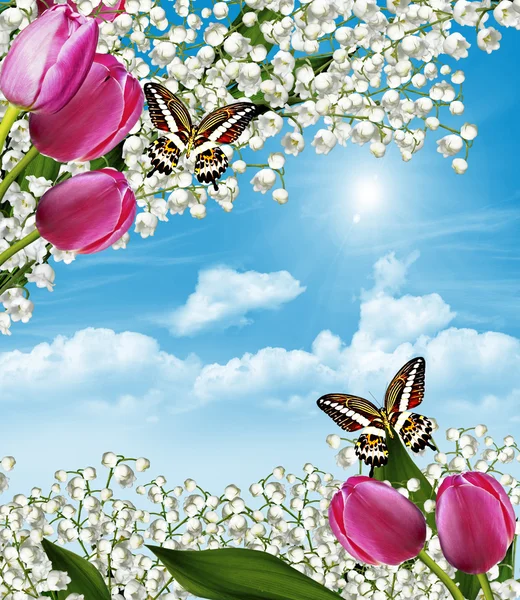 Frühlingsblumen Maiglöckchen und Tulpen vor blauem Himmel — Stockfoto