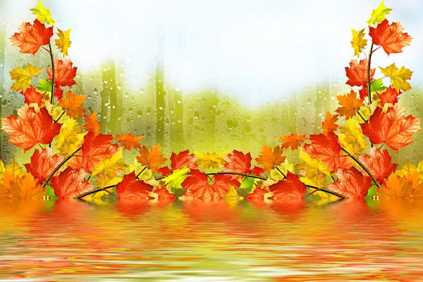 Herbstlandschaft. schöne Herbstblätter. Goldener Herbst. — Stockfoto