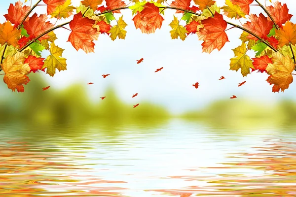 Autumn landscape. Beautiful autumn leaves. Golden autumn. — Stock Photo, Image