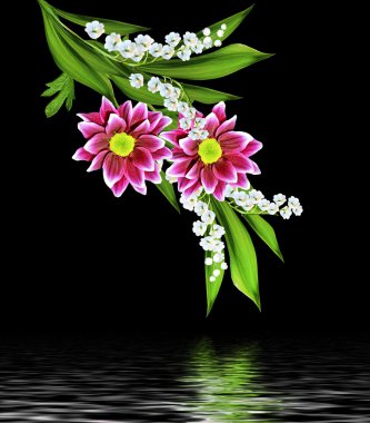 Blac üzerinde izole sonbahar güzel renkli kasımpatı çiçekleri