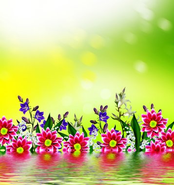 çiçek çiçekler bluebells arkaplanını