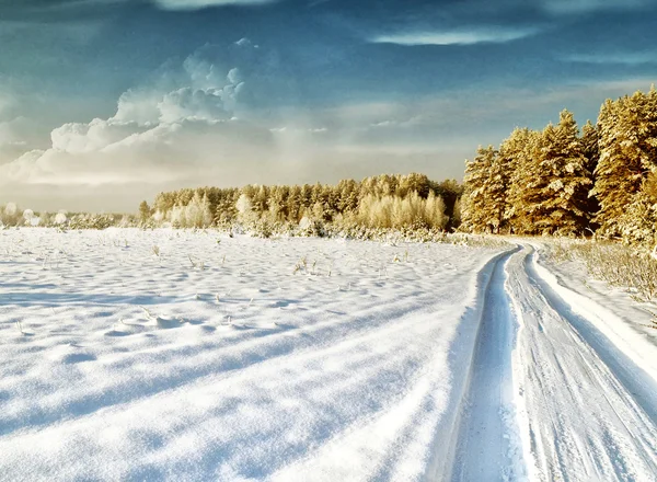 Floresta de Inverno. paisagem. Neve árvores cobertas — Fotografia de Stock