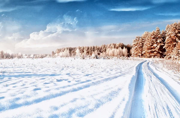 冬の森。風景です。木が雪に覆われています。 — ストック写真