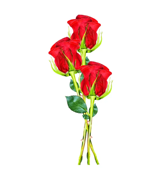 De toppen van bloemen rozen. — Stockfoto