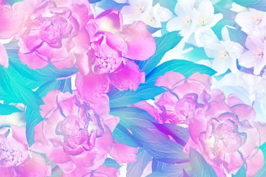 Bahar çiçekleri peonies ve Yasemin