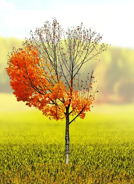 Herbstlandschaft. farbenfrohe, schöne Herbstbäume im Park — Stockfoto