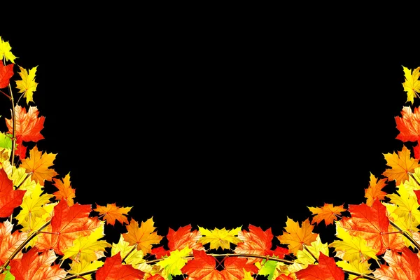 Autumn leaves isolated on black background. — Stock Photo, Image