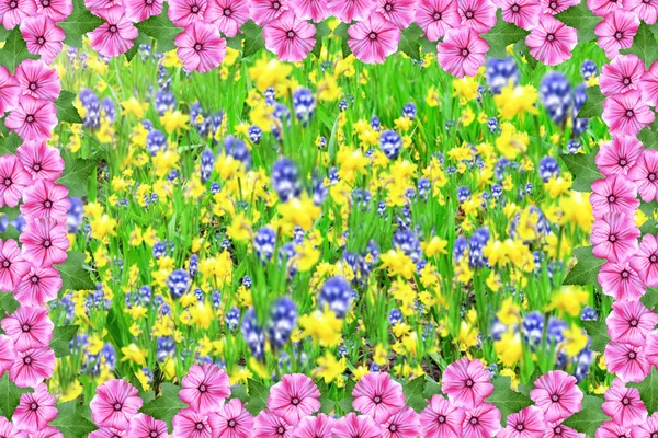 Frame of petunia flowers on a background summer landscape with f — Stock Photo, Image