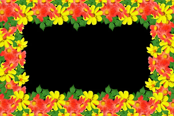 Bukett av blommor dahlior. Blommor isolerad på svart bakgrund — Stockfoto