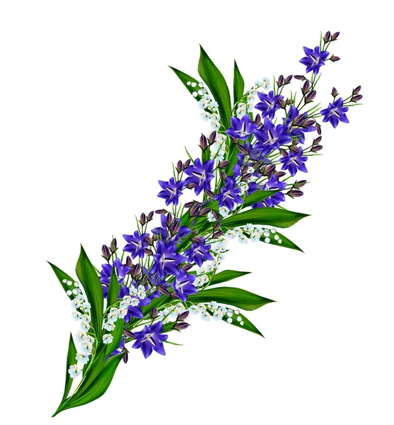 Blaue Blumen Glockenblume isoliert auf weißem Hintergrund — Stockfoto
