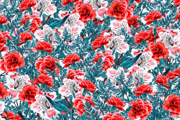 Blumen Nelke. Floraler Hintergrund — Stockfoto