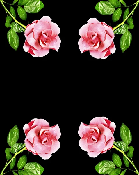 Die Knospen der Blumen Rosen. Urlaubskarte — Stockfoto