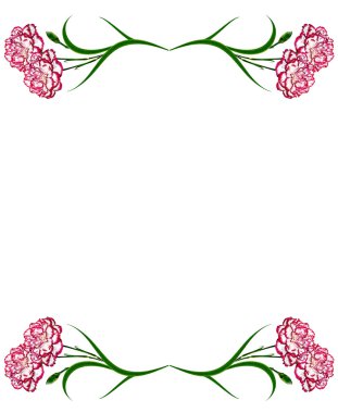 çiçekler karanfil buketi.