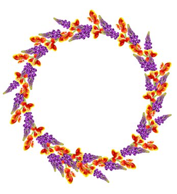 Mavi lupines beyaz bir arka plan üzerine güzel çiçekler