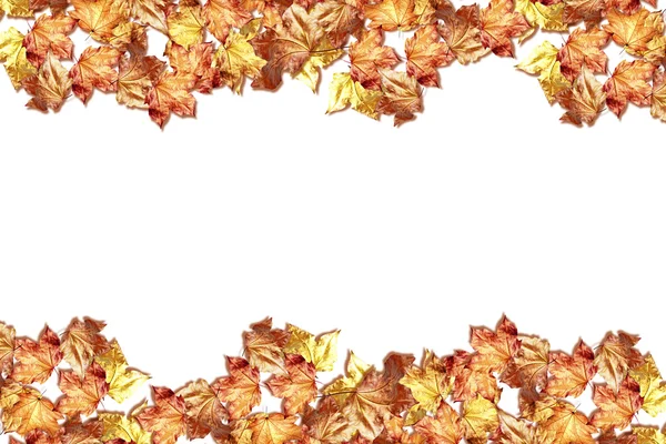 Abstrakter Hintergrund der Herbstblätter — Stockfoto