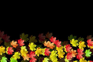 sonbahar yaprakları siyah arkaplanda izole. 