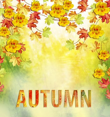 herfst gebladerte. Gouden herfst.