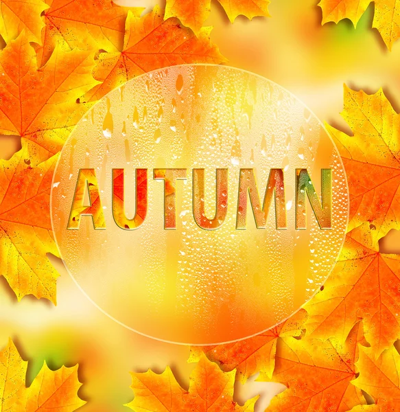 Autumn foliage. Golden Autumn. — Stock Photo, Image