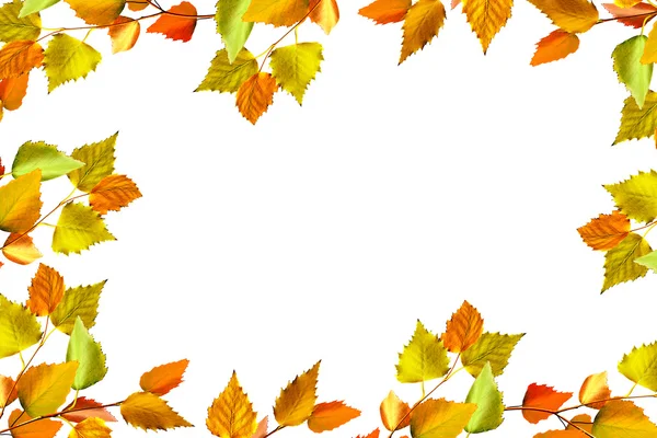 sonbahar yaprakları beyaz arkaplanda izole. 