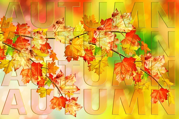 Herbstlaub. Goldener Herbst. — Stockfoto