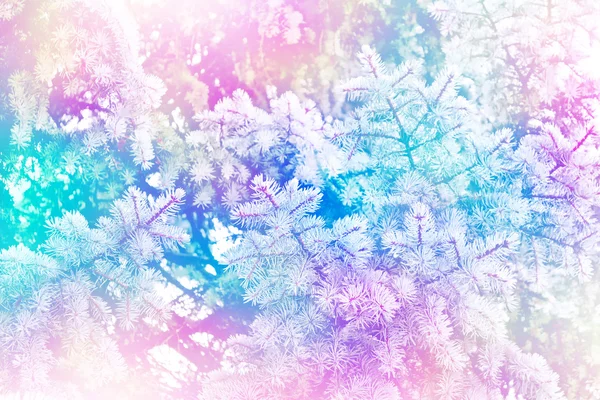 霜の中の森。冬の風景。雪に覆われた木 — ストック写真