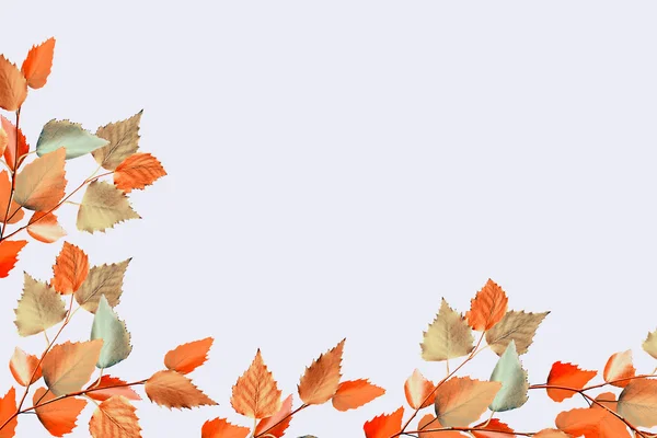 Hojas de otoño aisladas sobre fondo blanco. —  Fotos de Stock