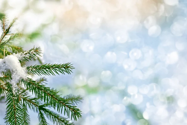 森林在霜冻中。冬季风景。覆盖着雪的树. — 图库照片