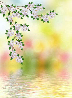 Bahar manzara. Çiçekli elma ağacı. Bahçe.