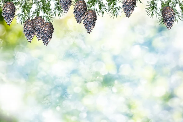 Bos in de vorst. Winterlandschap. Met sneeuw bedekte bomen. — Stockfoto