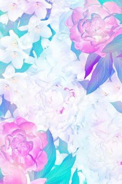 Bahar çiçekleri peonies ve Yasemin