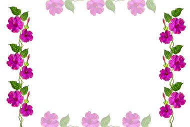 Whit üzerinde izole sonbahar güzel renkli sabah zafer çiçek