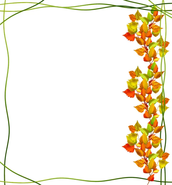 Осінні листя ізольовані на білому тлі . — стокове фото