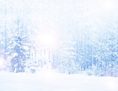  Woods. Kış manzarası. Ağaçlar kar kaplı. Noel backgrou