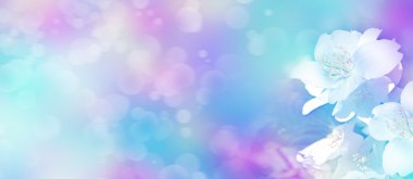 Bahar yatay, hassas Yasemin çiçekleri