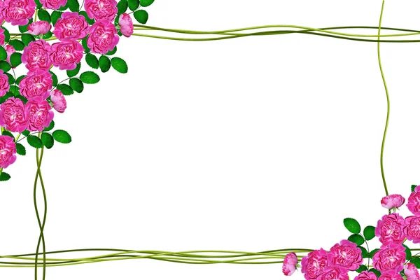 Die Knospen der Blumen Rosen. Urlaubskarte — Stockfoto