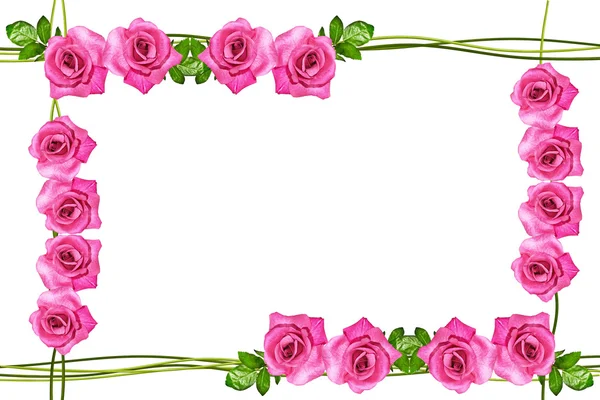 Les bourgeons de fleurs roses. Carte de vacances — Photo