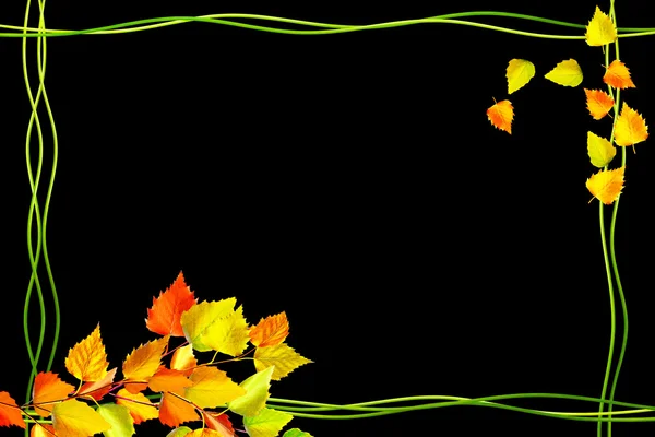 Autumn leaves isolated on black background. — Stock Photo, Image