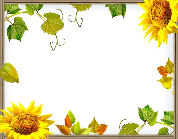 Frame of flowers and foliage