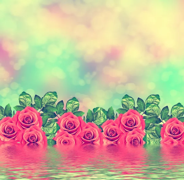 Os botões de flores rosas. Cartão de Natal. Fundo floral de ro — Fotografia de Stock