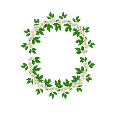 Beyaz Yasemin çiçeği. 