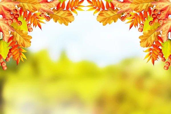 Herfst landschap met heldere kleurrijke gebladerte. Indian summer. — Stockfoto
