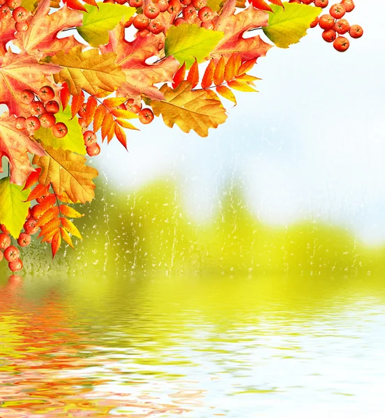 Autumn landscape with bright colorful foliage. Indian summer. — Stock Photo, Image