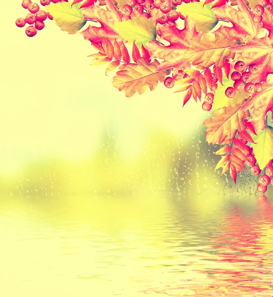 Autumn landscape with bright colorful foliage. Indian summer. — Stock Photo, Image